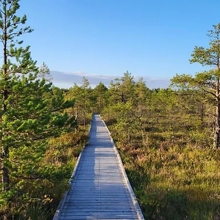 Apartmán Tulbi
