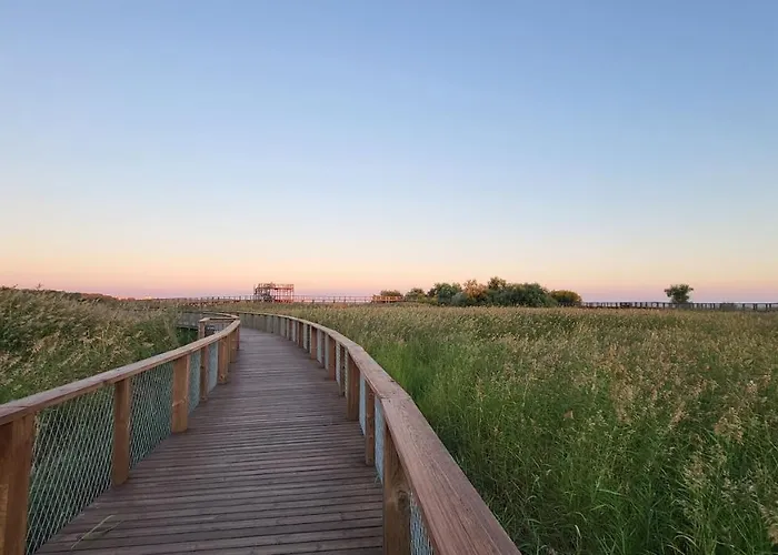 Apartment Tulbi Parnu