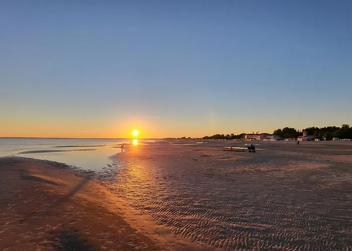 דירה Tulbi פארנו